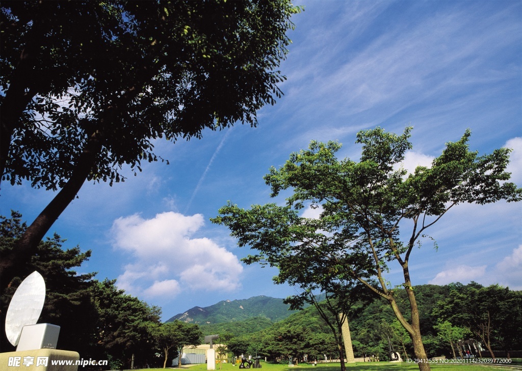 森林风景