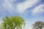 蓝天白云
