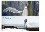 影楼婚纱模板只被吹疯的夏天