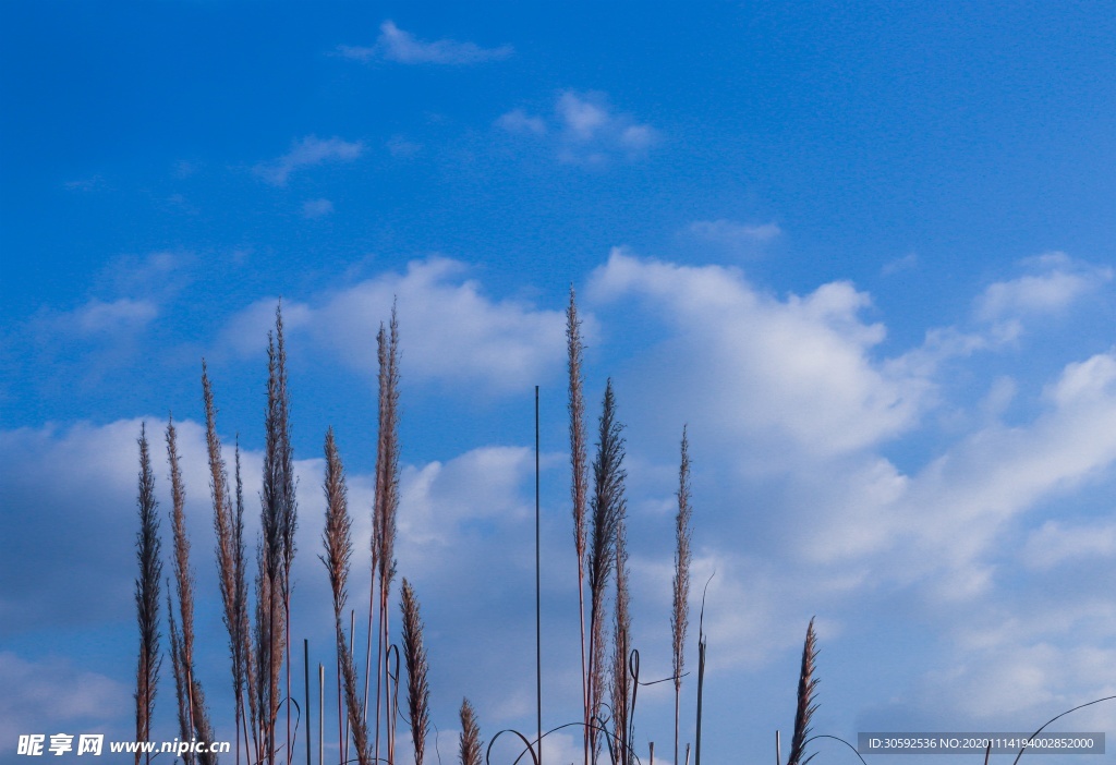 天空