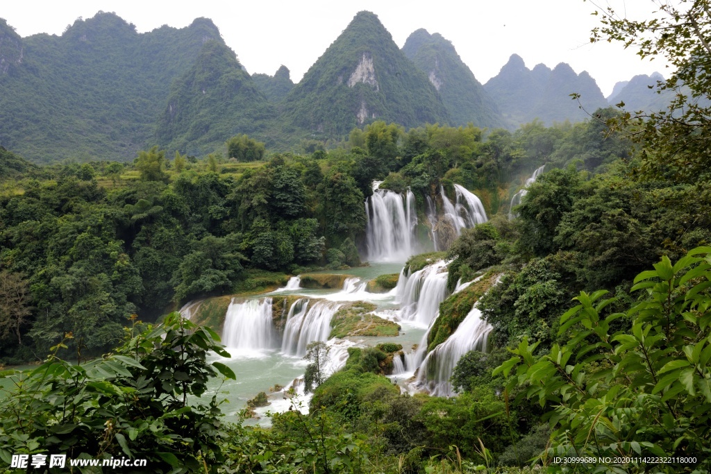 森林风景