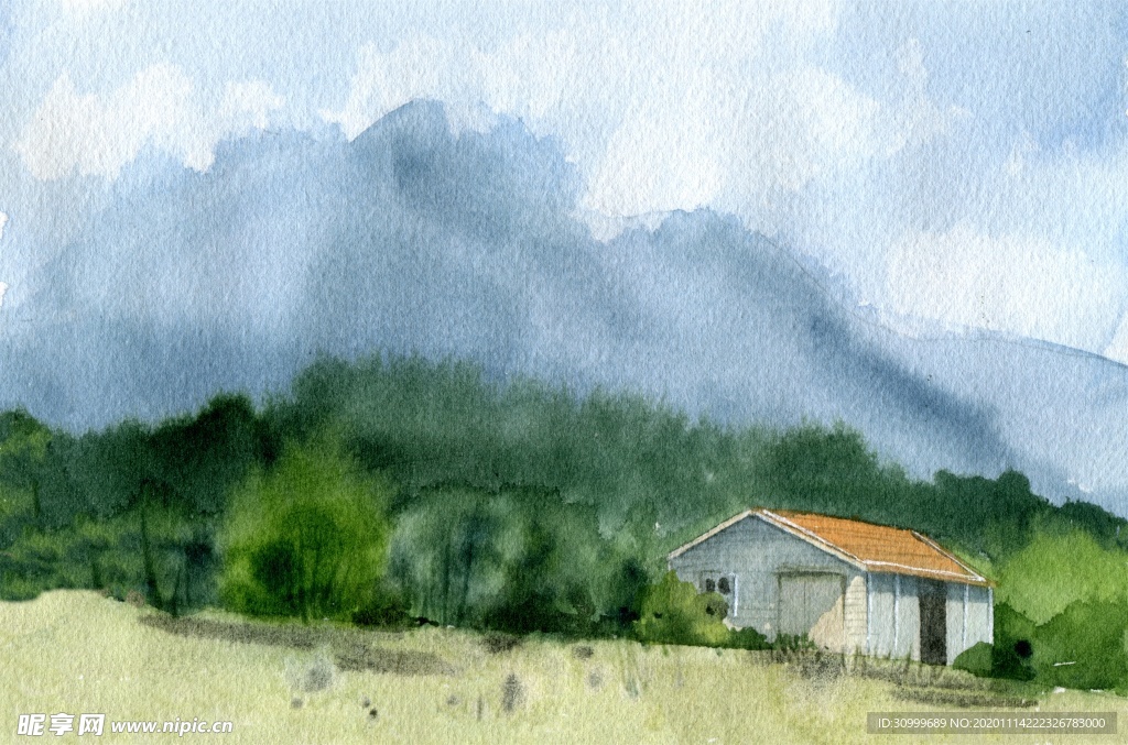 森林风景