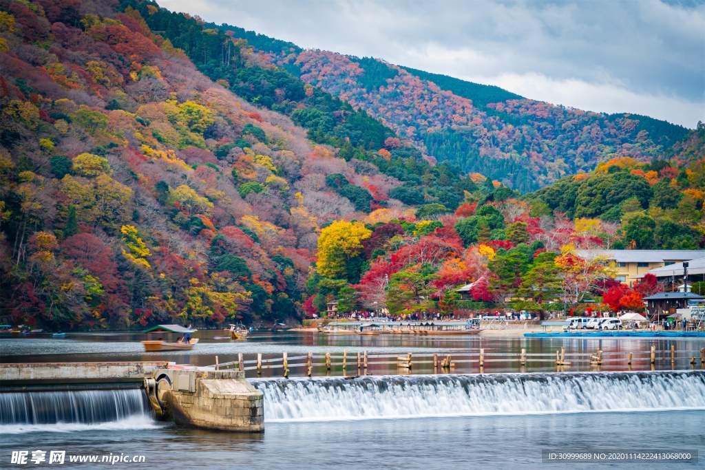 森林风景