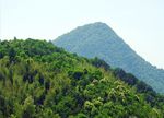 森林风景
