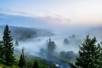 森林风景