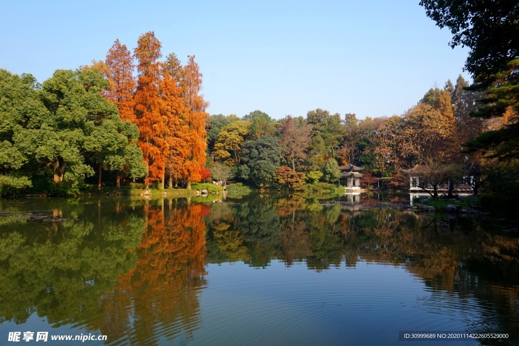 森林风景