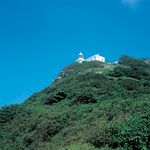 森林风景