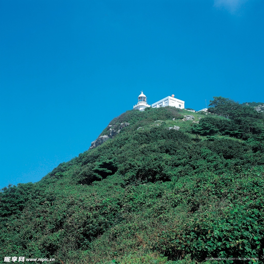 森林风景