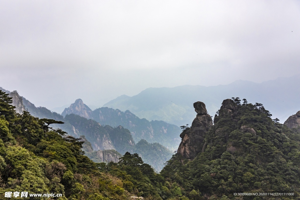 森林风景
