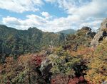 森林风景