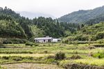森林风景