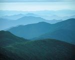 森林风景