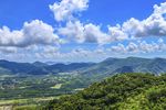 森林风景