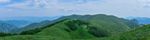 森林风景