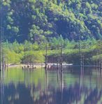 森林风景