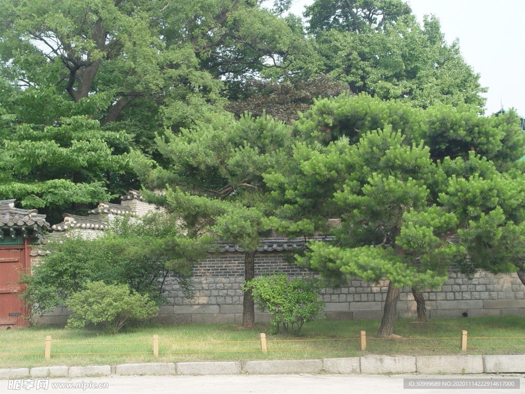 森林风景