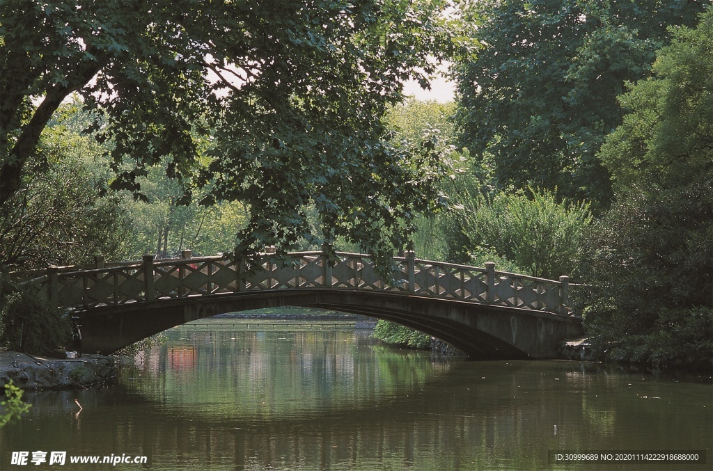 森林风景