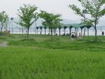 森林风景