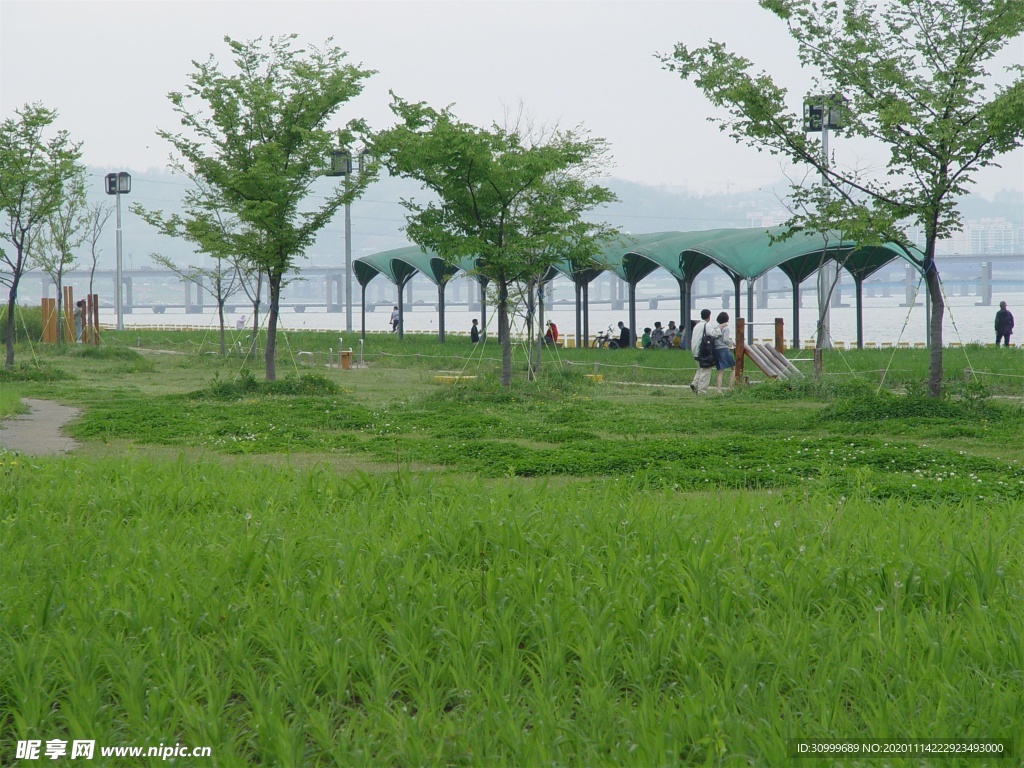 森林风景