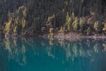 森林风景