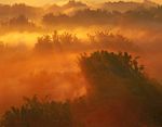 森林风景