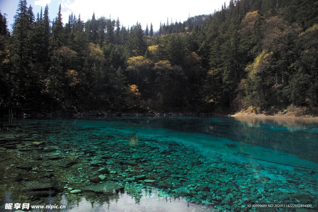 森林风景