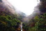 森林风景