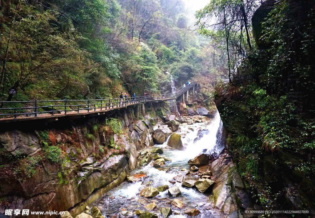 森林风景