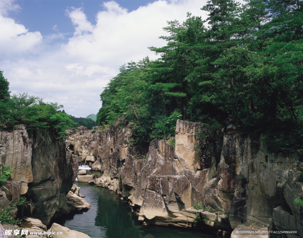 森林风景