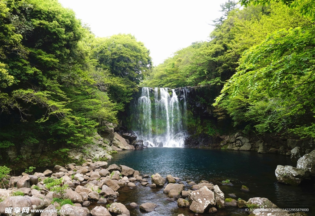 森林风景