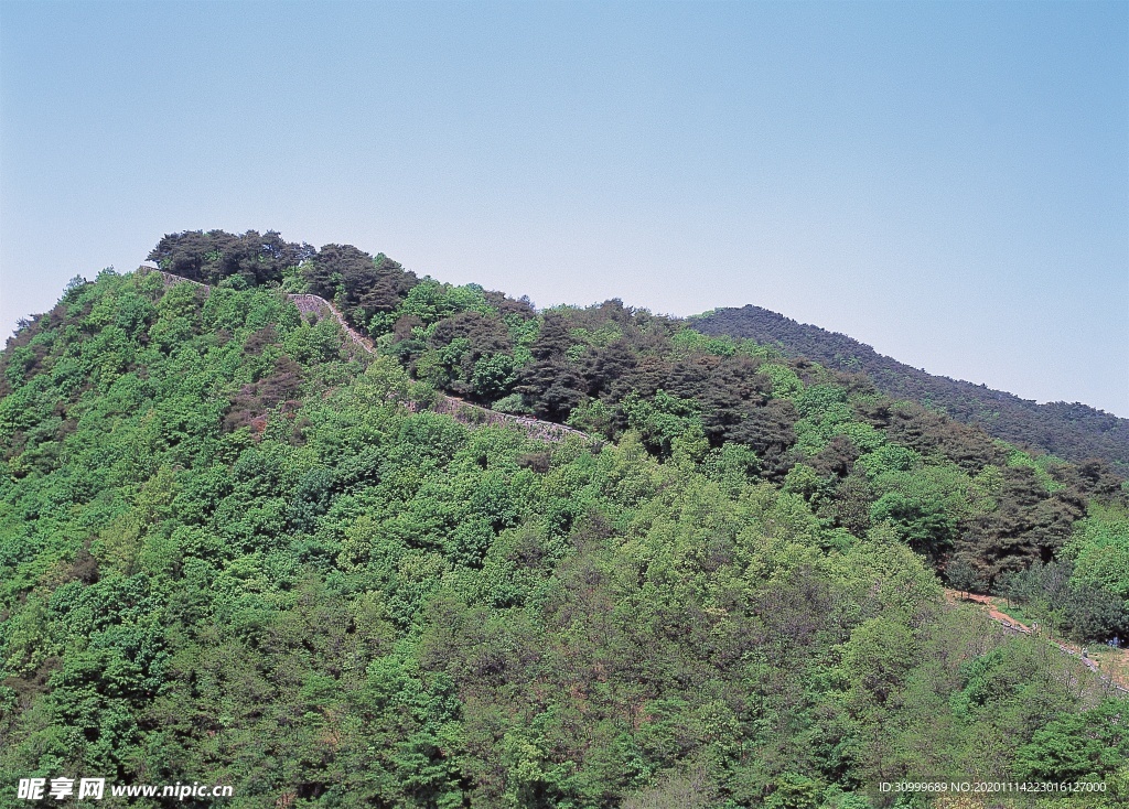 森林风景