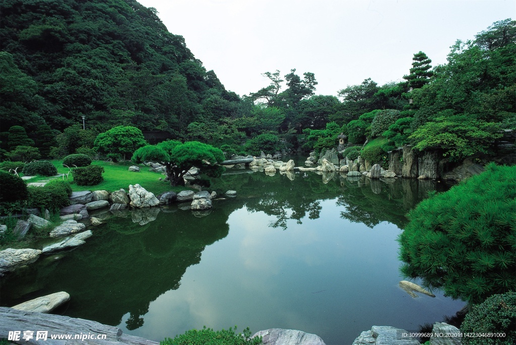森林风景