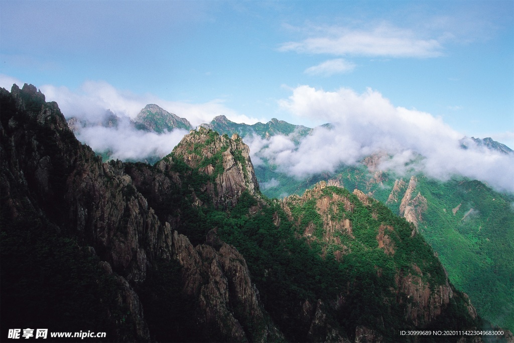 森林风景