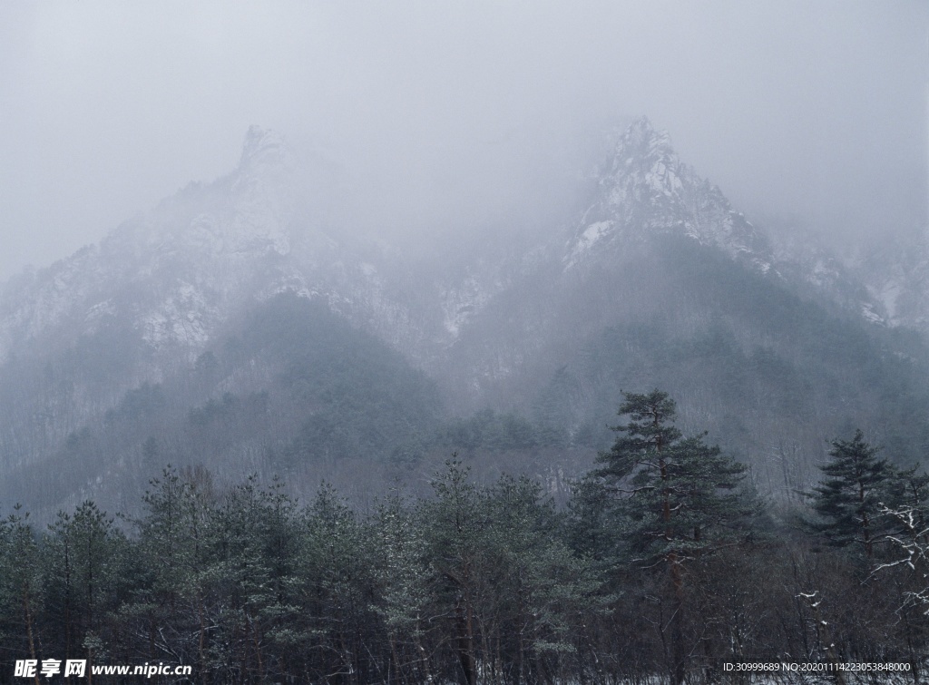 森林风景