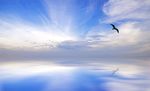天空