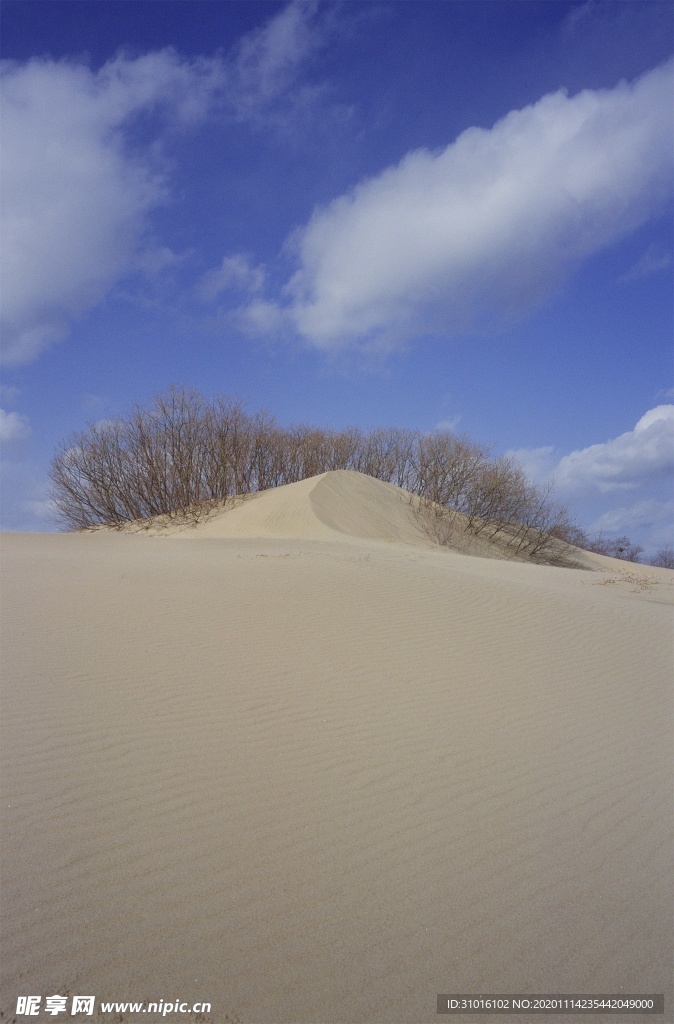 沙漠风景