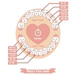婴儿卡通牙齿