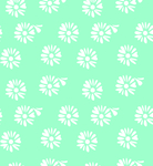 雏菊