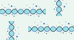 基因 DNA 医疗 化学
