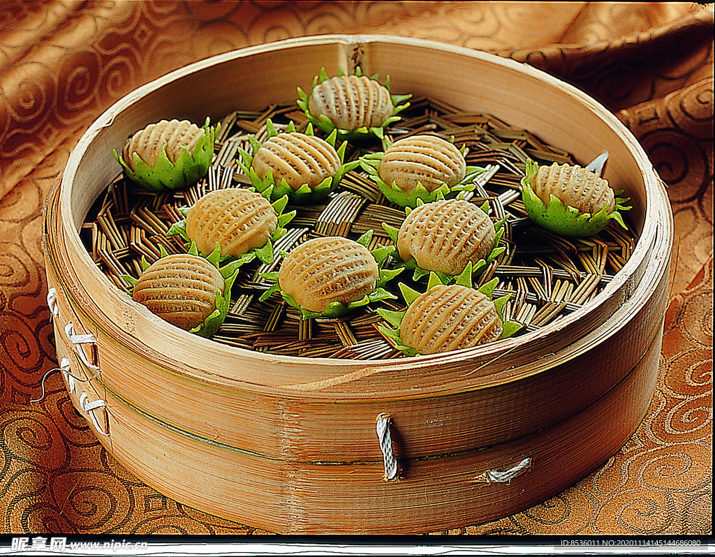 豫菜向日葵