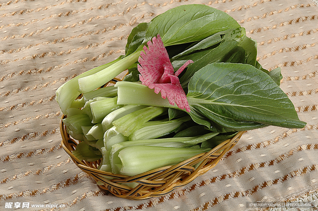 豫菜小青菜