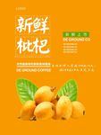 枇杷海报