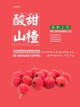 山楂海报