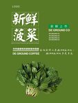 菠菜海报
