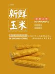 玉米海报