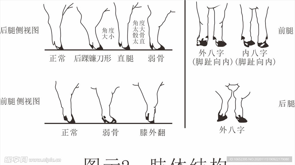 猪腿矢量图