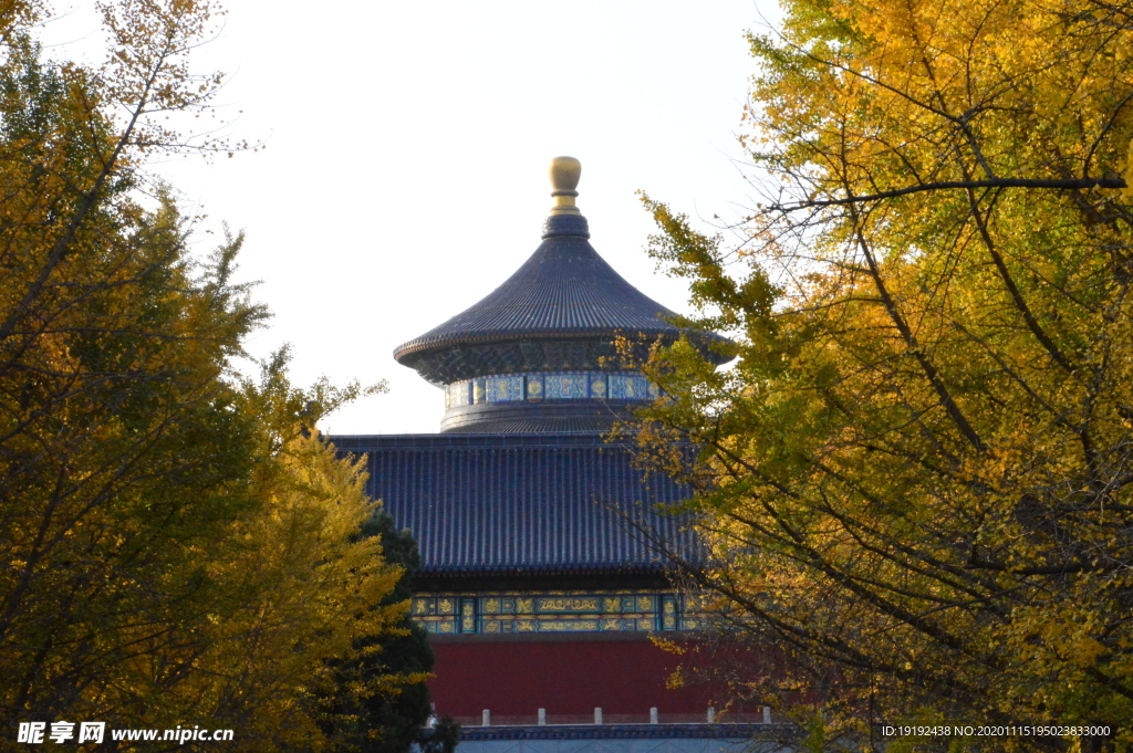 彩叶风景