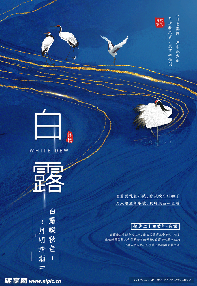 白露