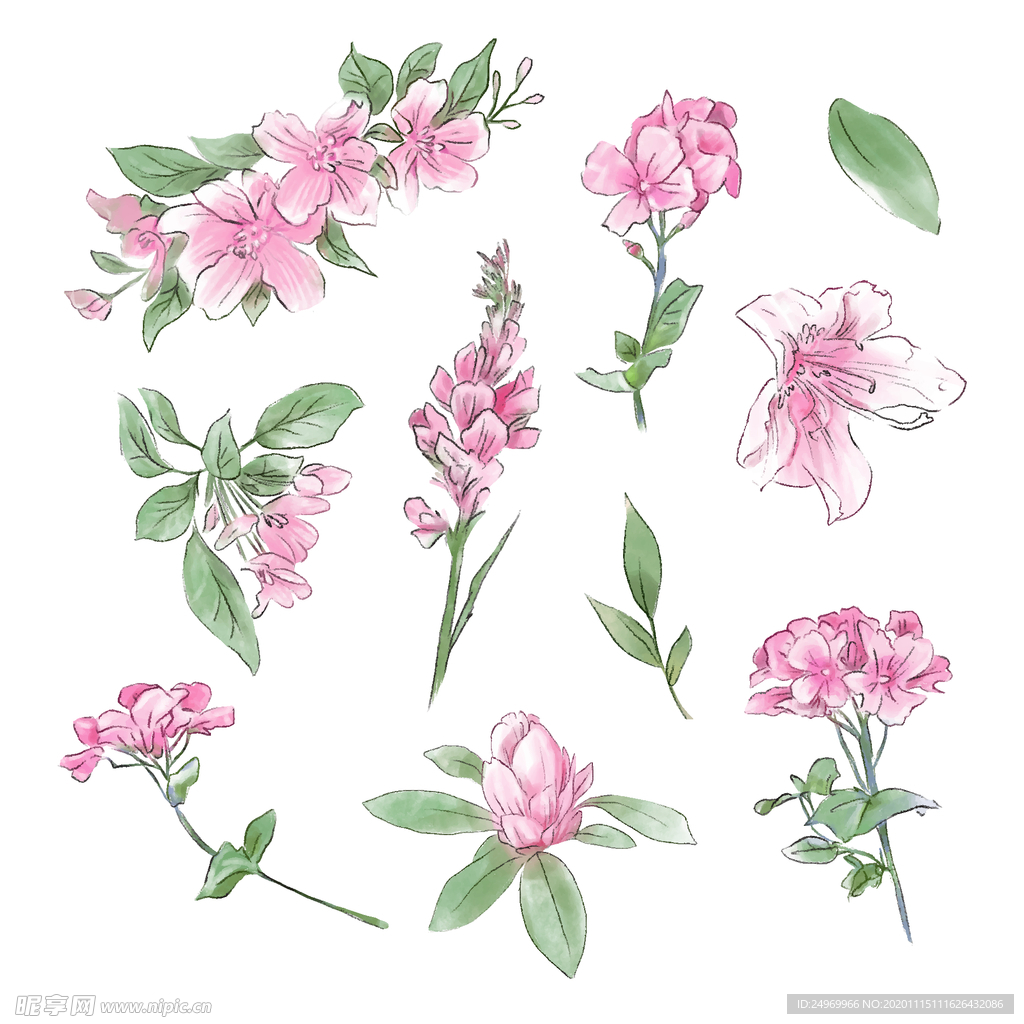 绿植花卉