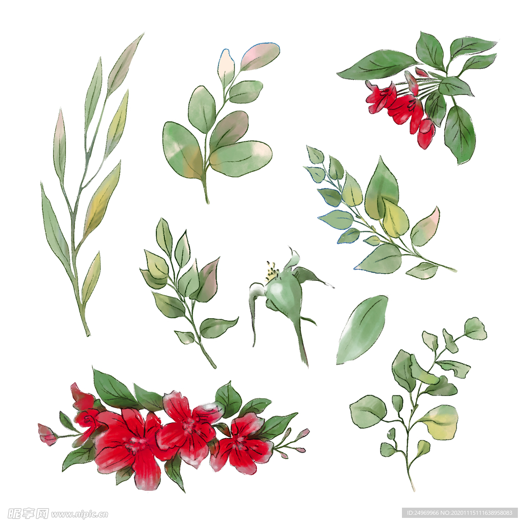 绿植花卉